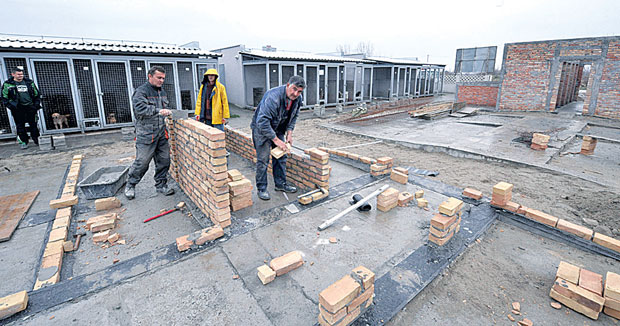 Луталицама трајни смештај